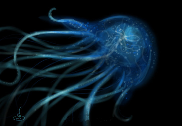 chironex_fleckeri_by_demonicsyco-d4tv4gk