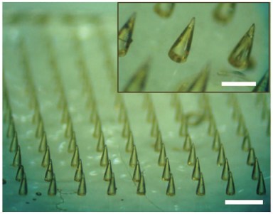 microneedle mat