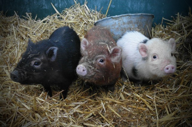 5327424325_ebeec43563_o